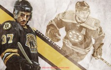 24VS体育直播-国产健身器材品牌排行榜及推荐理由详解