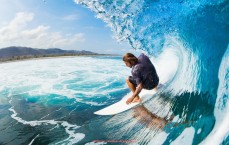 24VS体育直播-萨尔斯堡队参加欧冠赛事全记录